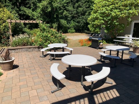 Private Backyard Patio with BBQ and seating, good wind protection plus good sun!