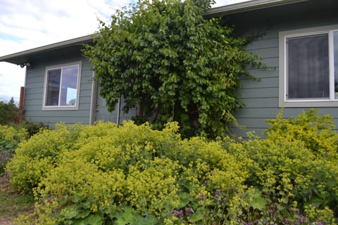 In front of the Garden Room.