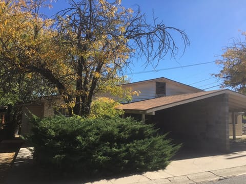 Front yard and carport