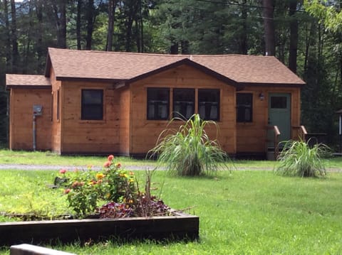 Our Cabin