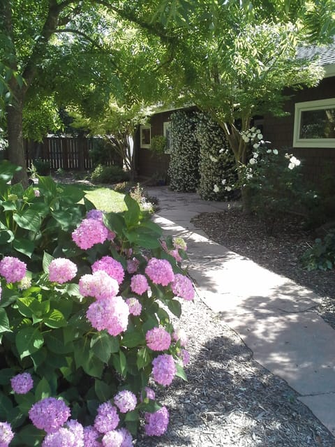 Welcome to the entrance of secluded Casa de Luna, greeted by blooming hydrangeas
