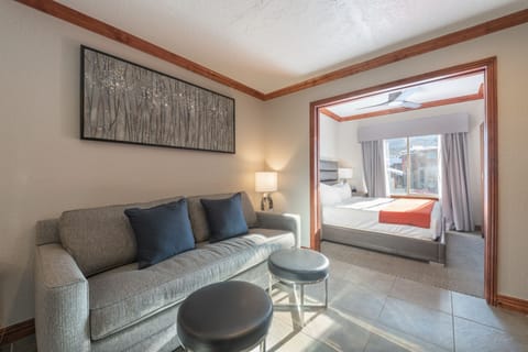 living room and bedroom