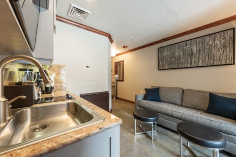 Living room and kitchenette