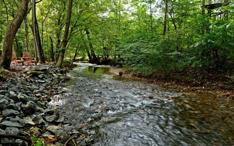 Fightingtown Creek behind the cabin.