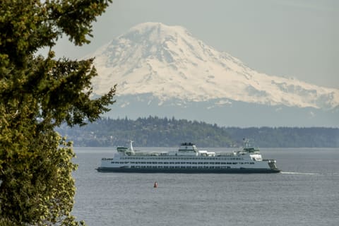 Mt Raininer and ferry view from lawn outside your suite