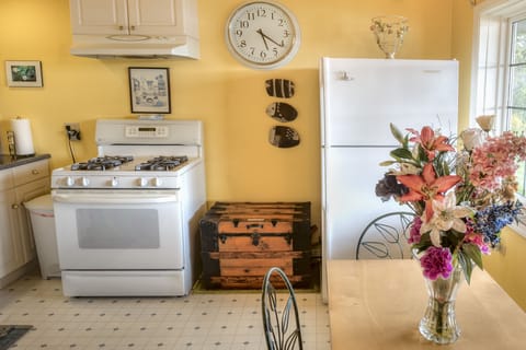 Kitchen dining table, fridge and gourmet gas stove