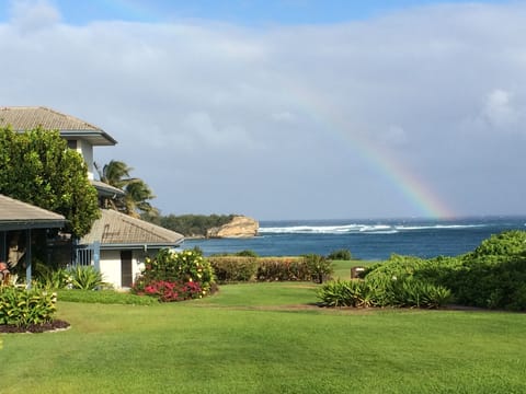 This view is 10 steps from our lanai