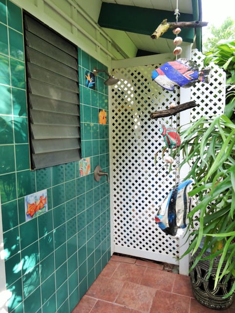 Outdoor hot and cold shower