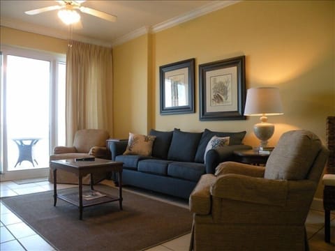 Comfortable Living Room - Pull Out Sleeper Sofa