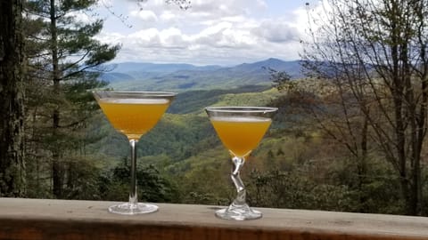 Martini View from one of 8 rocking chairs on the deck