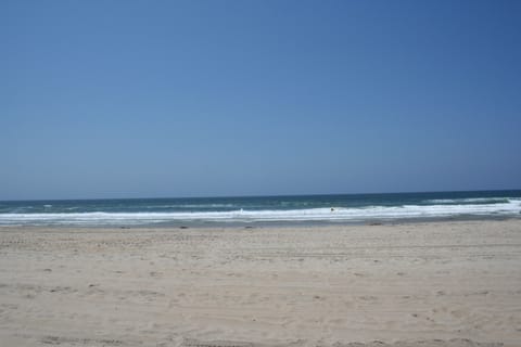 Mission Beach - Surfers and Dolphins!
50 steps from our building.