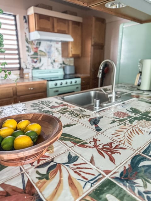 Retro kitchen with new oven and refrigerator 