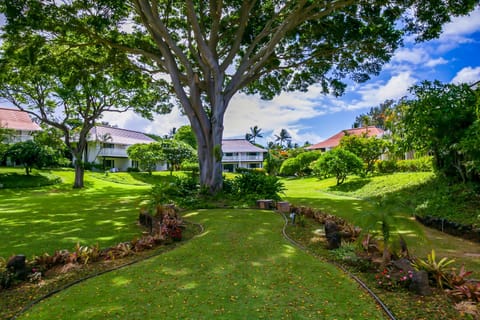 View of Trees and colorful Shrubs at Kiahuna Plantation