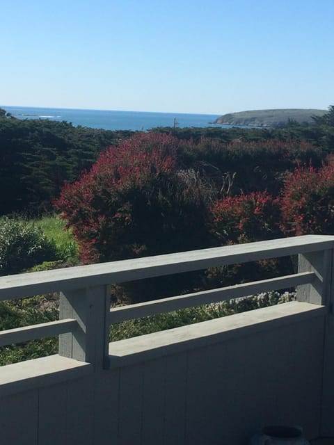 View of Bodega Harbour from deck
