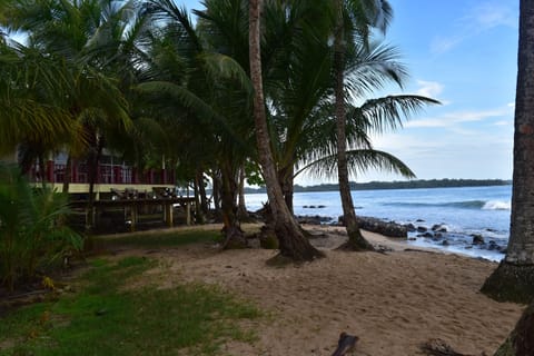 Shorebreak Casa. 
Pic of front of house. 
Oceanfront beach rental.