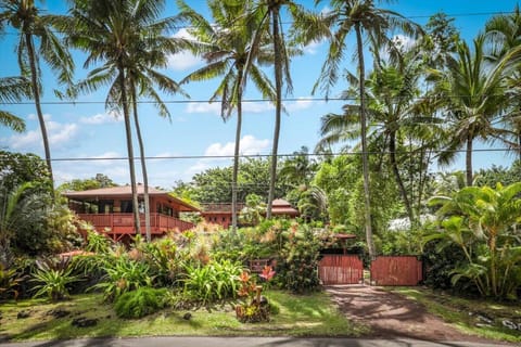 Aloha and E Komo Mai
