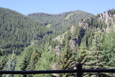 Gondola Viewed from Deck