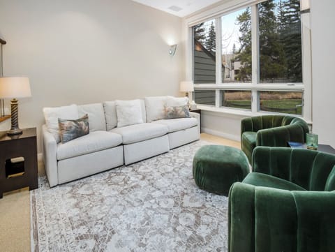 Living Room View