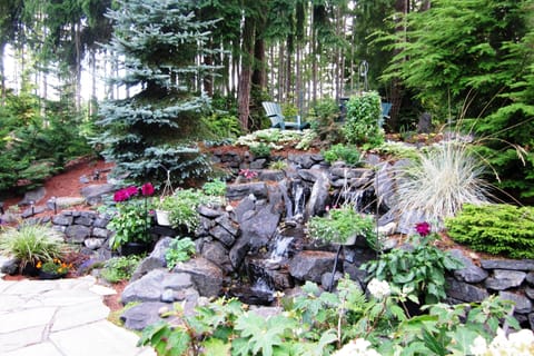 Waterfall in the back yard adds to the ambiance.