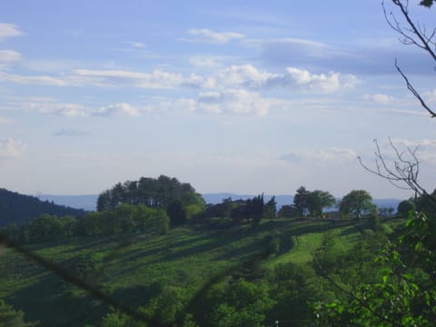 Farmhouse view towards Arno valley