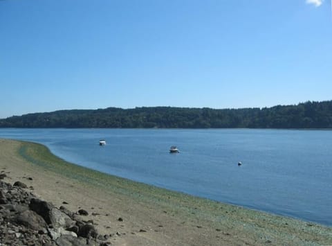 Soak in the cabin's panoramic private ocean front, view to the left.