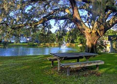 The pond provides a great backdrop for picnics, walks, reading...