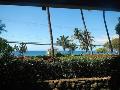 View from Lower Lanai