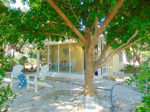 Adorable Studio Guest Cottage with Queen Bed and Queen Sofa bed. Open Concept. 
