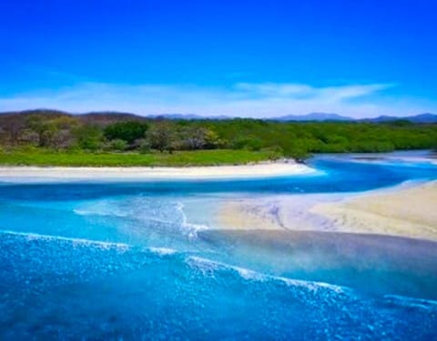 Walk to Playa Avellanas’ beautiful estuary and uncrowded beaches