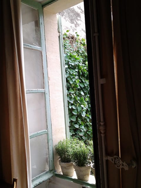 Living room window looking into garden.