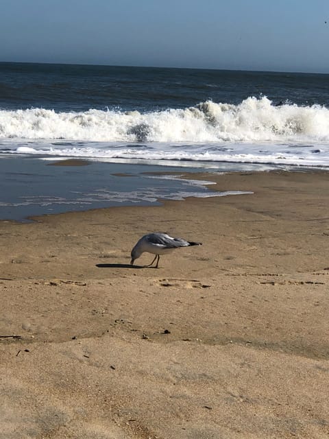 Relax & walk on the beach 