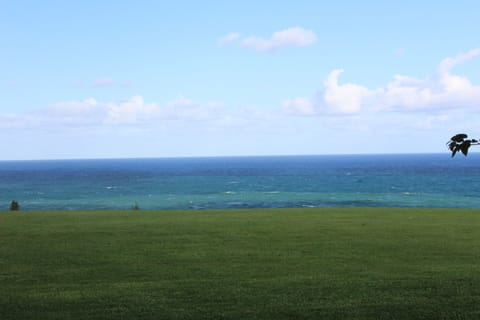 Breathtaking expansive ocean view from the ground floor. Just open the door!  