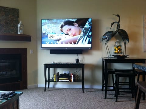 65' 3D HD TV with Bose Sound System - it's completely incredible.