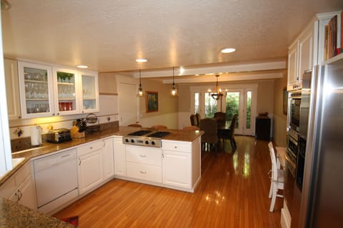 Gas Stove wtih Blower