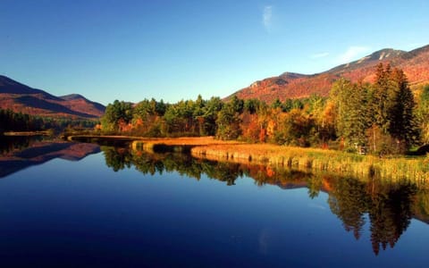 Escape the heat and enjoy the Adirondacks! 