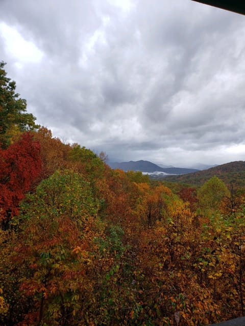 Fall View from side deck
