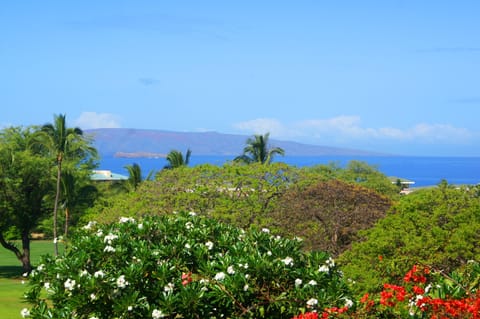 Enjoy this amazing ocean view from all rooms and lanais at Ekolu 107.