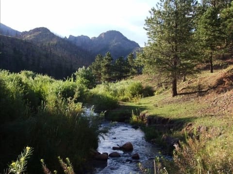 Trout Fishing - Steps from Your 
Front Door