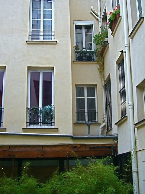 windows on the backyard