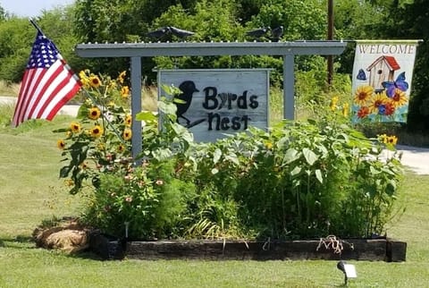 Welcome to the Byrd's Nest...