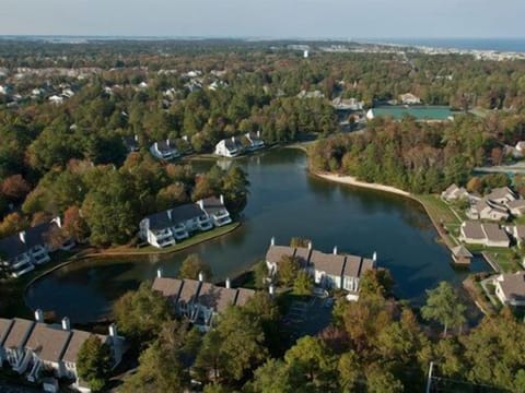 Walking and biking paths surrounded by picturesque lakes and lush landscaping