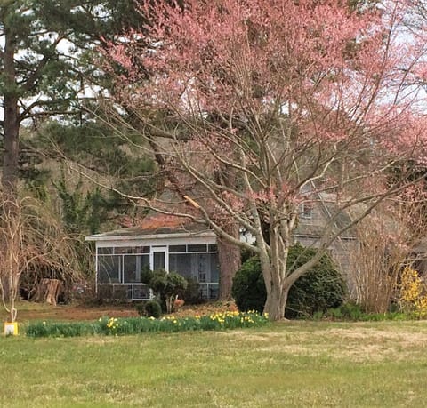 Welcome to Mom and Pop's Honest Point Home