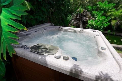 8 Person hot tub with lights and stero