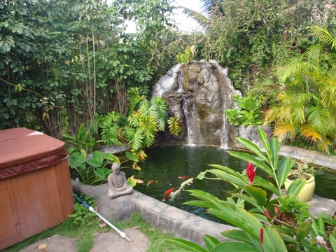 Hot Tub, Waterfall and Koi Pond