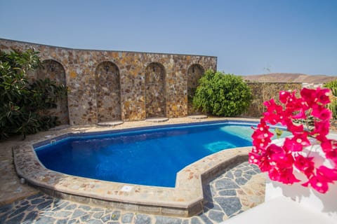 Heated pool  large enough for the large family