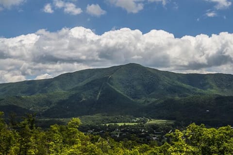 Cove Mountain