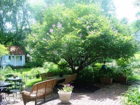 Minnetonka Charmer brick patio lilac tree
