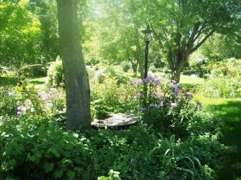 Minnetonka Charmer garden yard