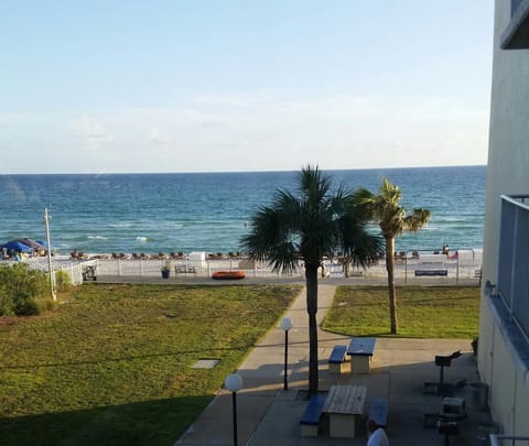 View from my Balcony