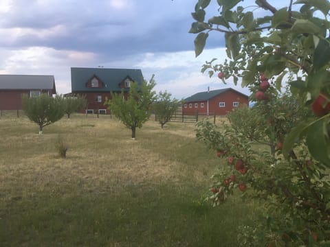 A peaceful log home in a ranch setting - on site orchard for fresh apple cobbler